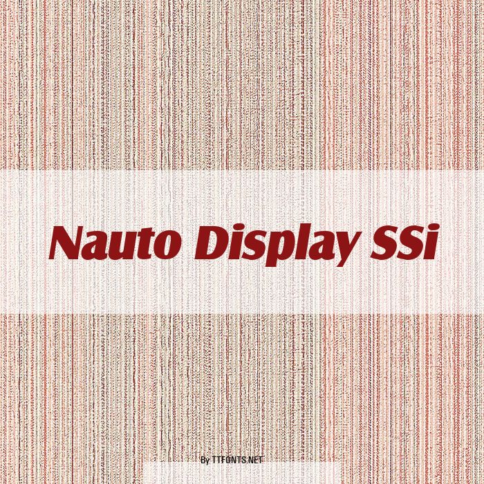 Nauto Display SSi example